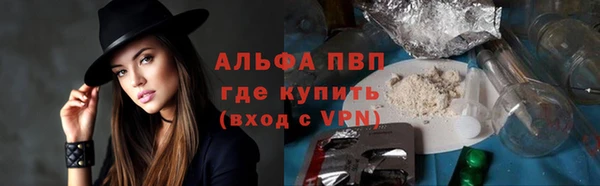 стаф Абаза