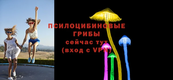 эйфоретик Алзамай