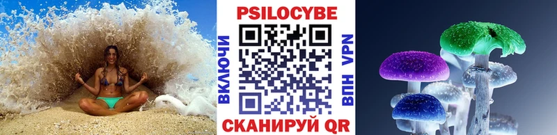 Галлюциногенные грибы MAGIC MUSHROOMS  darknet как зайти  Хабаровск 